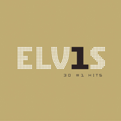 Elvis In Concert: Elvis 30 #1 Hits