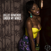 Under My Wings - Single