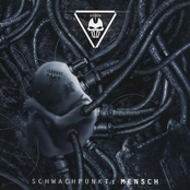 Schwachpunkt: Mensch