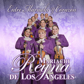 Mariachi Reyna De Los Angeles: Entre Mariachi Y Corazón