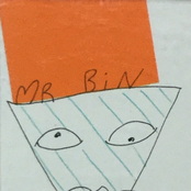 Mr Bin