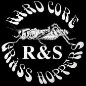 Hardcore Grasshoppers