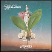 Organica Records Compilation 02