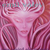 new weird electropop