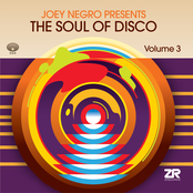 The Soul Of Disco Volume Two