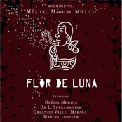 Flor de Luna