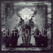 Buffalo Black LP