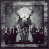 Warpaint by Buffalo Black