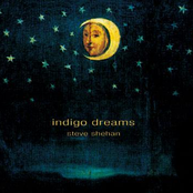 Indigo Dreams by Steve Shehan