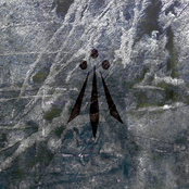 Caressing the Avalanche of Time