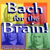 Bach For The Brain