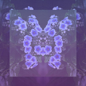 Lay Back // Slow Dive // Echo