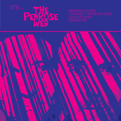 It's...The Penrose Web