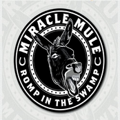 Miracle Mule: Romp in the Swamp
