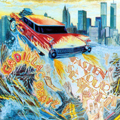 Fasten Your Seatbelt