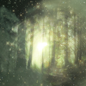 Siell​ä​, missä t​ä​hdet nukkuvat