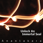 Unlock an Immortal Seal