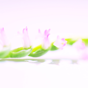 For You