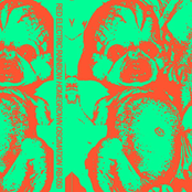 Homegrown Oscimation