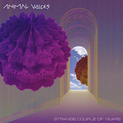 Strange Couple of Years (The Unfinished Album)