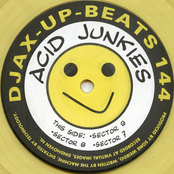 Discomaniak by Acid Junkies