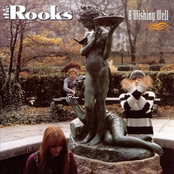 Wish You Well by The Rooks