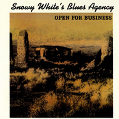 Blues On Me by Snowy White's Blues Agency