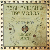 Wasting My Time by Asaf Avidan & The Mojos