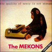 I Saw You Dance by The Mekons