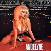 Animal Attraction