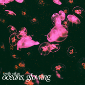 Oceans, Glowing