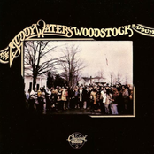 Born With Nothing by Muddy Waters