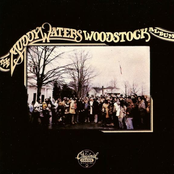 woodstock album