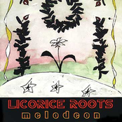 Melodeon by Licorice Roots