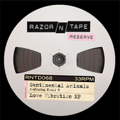 Love Vibration EP