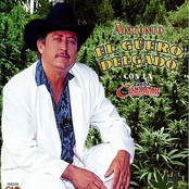 El Profeta