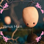 Turn Me Around by Venus Hum