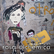 Disappear Here by Rosa Alchemica