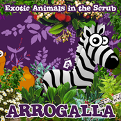 Exotic Animals In The Scrub