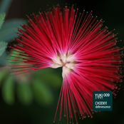 Yuki Yaki 009: Choenyi - Defervescence