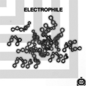 Electrophile Single