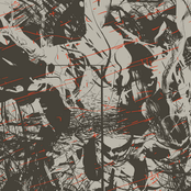 "The Occupation of Selfishness"