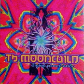 tb-moonchild