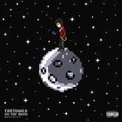 Earthwalk On The Moon