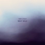 Night Walk