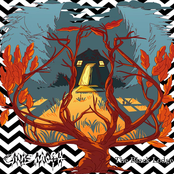 The Black Lodge