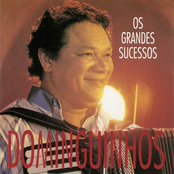 Os Grandes Sucessos