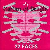 22 Faces