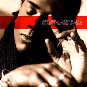 Simple Obsession by Andru Donalds