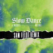 Slow Dance (Sam Feldt Remix) [feat. Ava Max] - Single